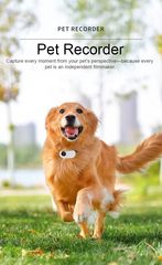 Pet Monitoring Camera with Magnetic Mount | HD Mini Thumb Camera & Silicone Collar