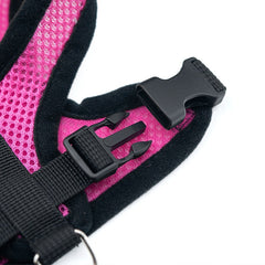Comfort Fit Small Dog Harness with Leash - Long Hair Friendly