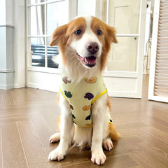 Cooling Ice Silk Dog Vest for Medium & Large Dogs - Multiple Sizes, Summer Chill Wear