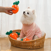 Adorable Squeaky Toy for Puppy Carrot Bone