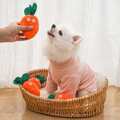 Adorable Squeaky Toy for Puppy Carrot Bone