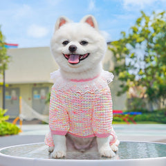 Cute Stretchy & Breathable Pet Bodysuit for Cats & Dogs - Spring-Summer Outfit for Bichon, Teddy & Munchkin Cats