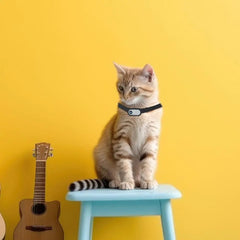 Mini Pet Collar Camera for Dogs & Cats (HD 1080p)