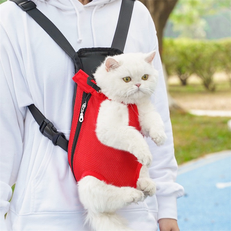 Pawsome Adventure Ready! Breathable Mesh Pet Backpack Carrier for Small-Medium Dogs & Cats - Hands-Free, Durable & Comfortable Outing Pack for Travel, Hiking, Vet Visits