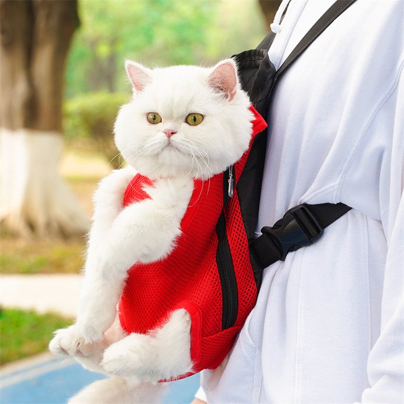 Pawsome Adventure Ready! Breathable Mesh Pet Backpack Carrier for Small-Medium Dogs & Cats - Hands-Free, Durable & Comfortable Outing Pack for Travel, Hiking, Vet Visits