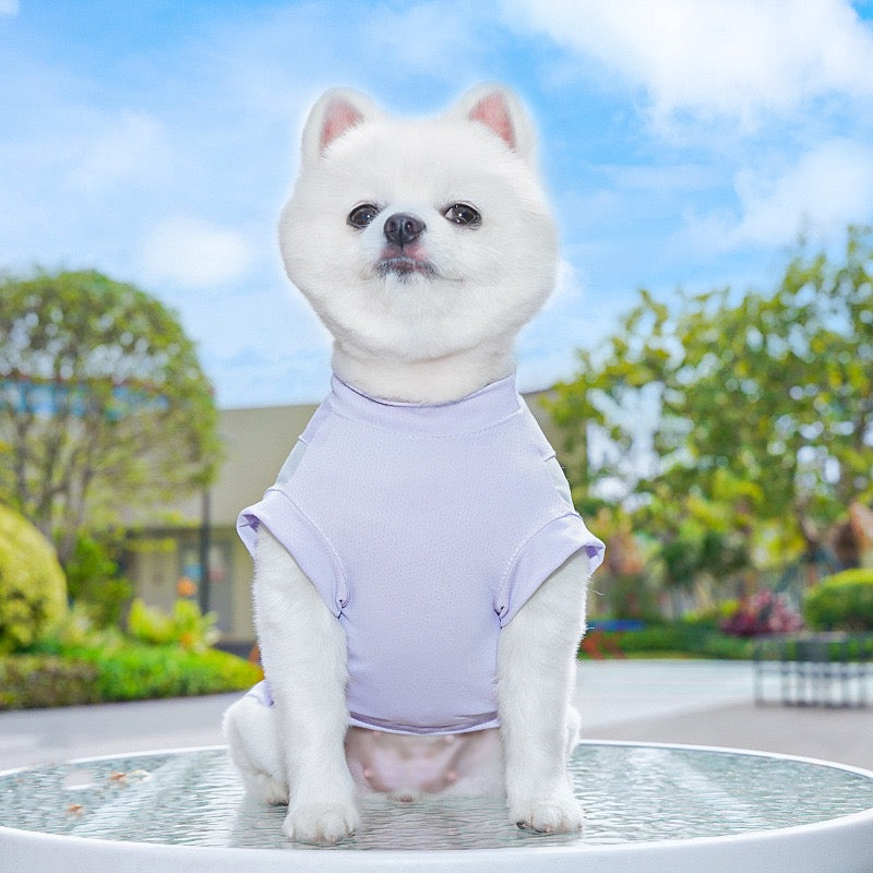 Cooling Mesh Sun Protection Vest for Dogs and Cats - UV Shield Summer Pet Vest