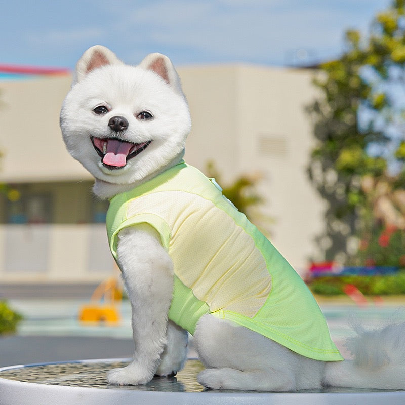 Cooling Mesh Sun Protection Vest for Dogs and Cats - UV Shield Summer Pet Vest