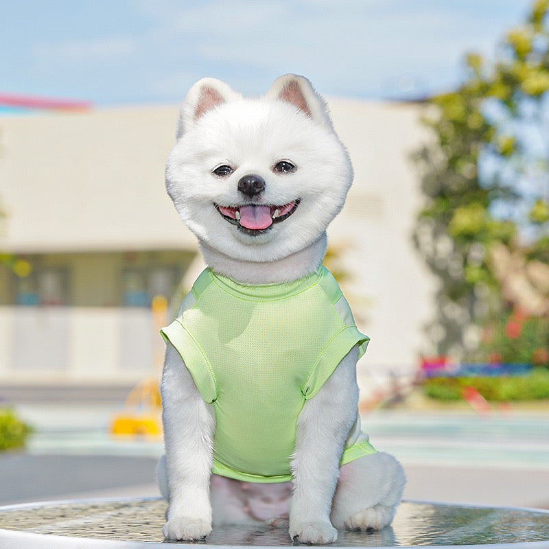 Cooling Mesh Sun Protection Vest for Dogs and Cats - UV Shield Summer Pet Vest