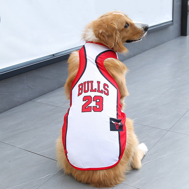 World Cup Dog Vest for Golden Retrievers | Medium & Large Breed Soccer Fan Vest