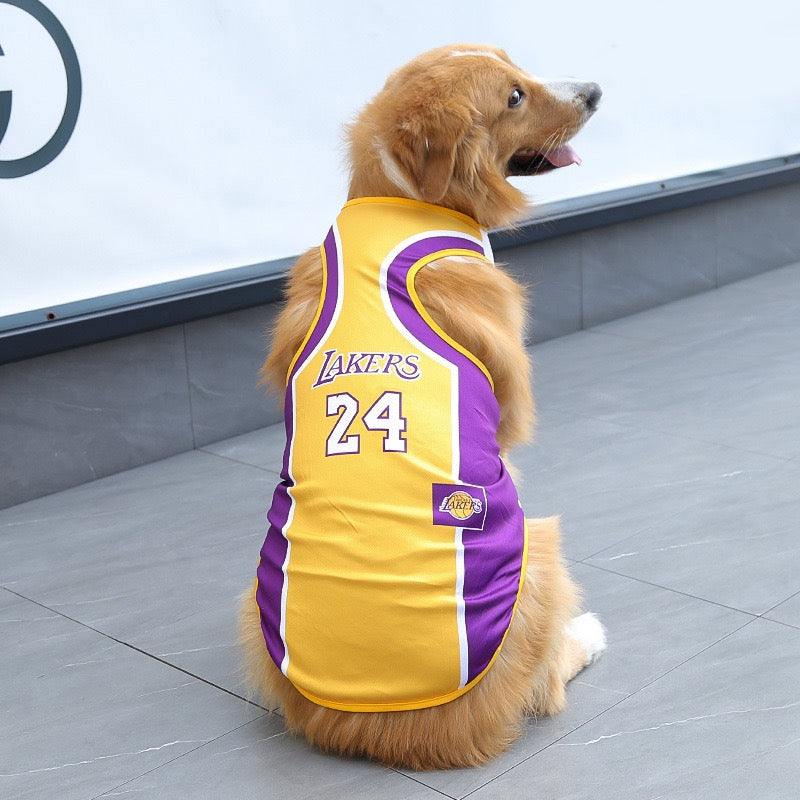 World Cup Dog Vest for Golden Retrievers | Medium & Large Breed Soccer Fan Vest