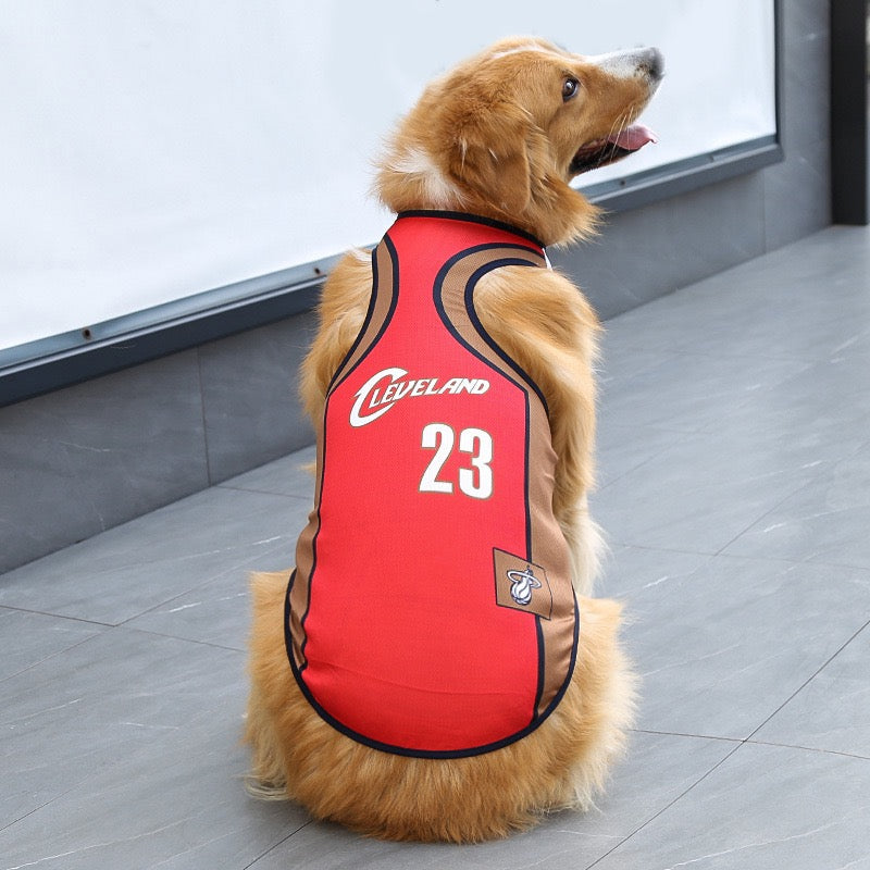 World Cup Dog Vest for Golden Retrievers | Medium & Large Breed Soccer Fan Vest