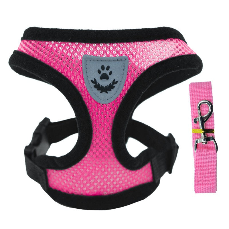 Comfort Fit Small Dog Harness with Leash - Long Hair Friendly