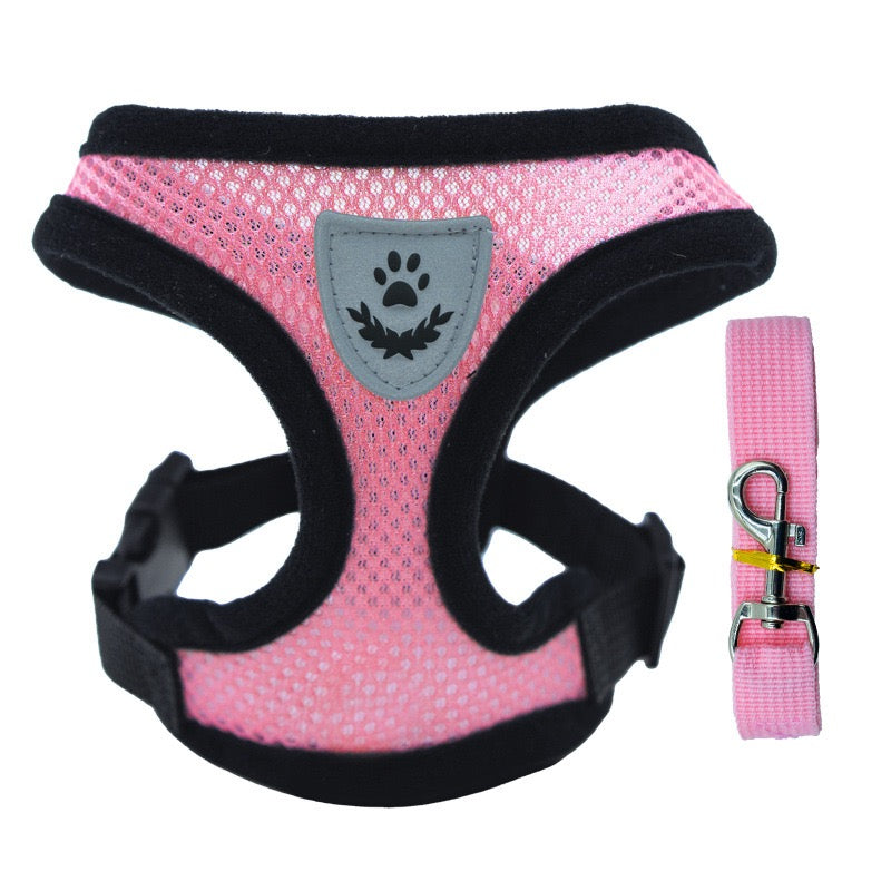 Comfort Fit Small Dog Harness with Leash - Long Hair Friendly