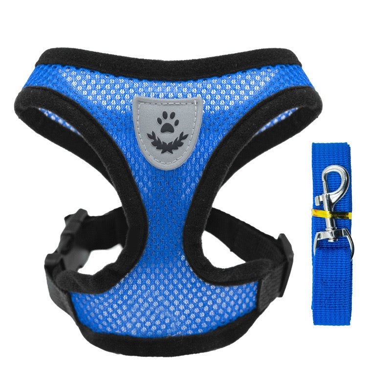 Comfort Fit Small Dog Harness with Leash - Long Hair Friendly