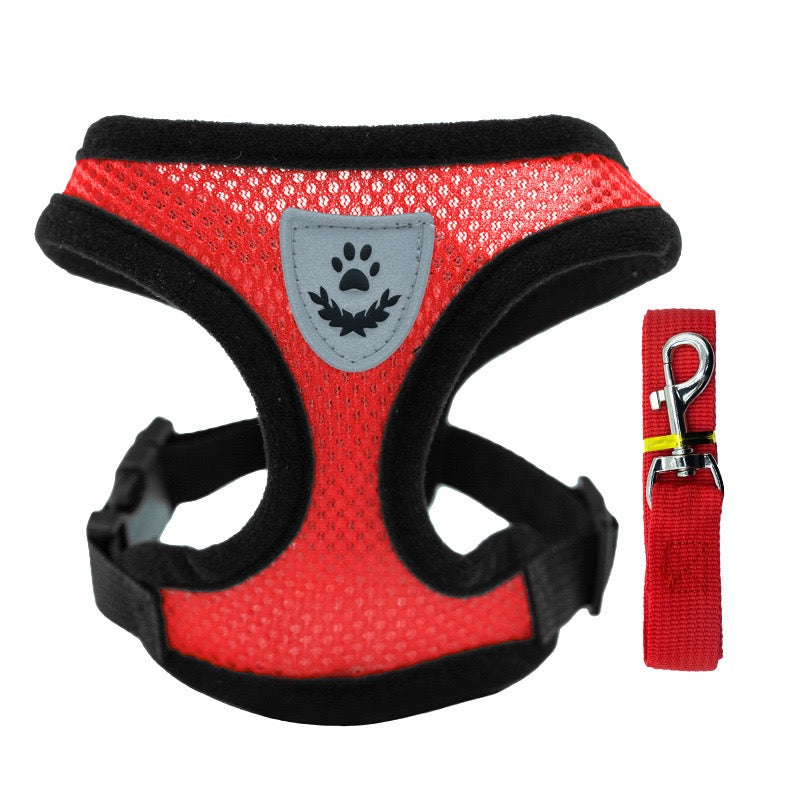 Comfort Fit Small Dog Harness with Leash - Long Hair Friendly