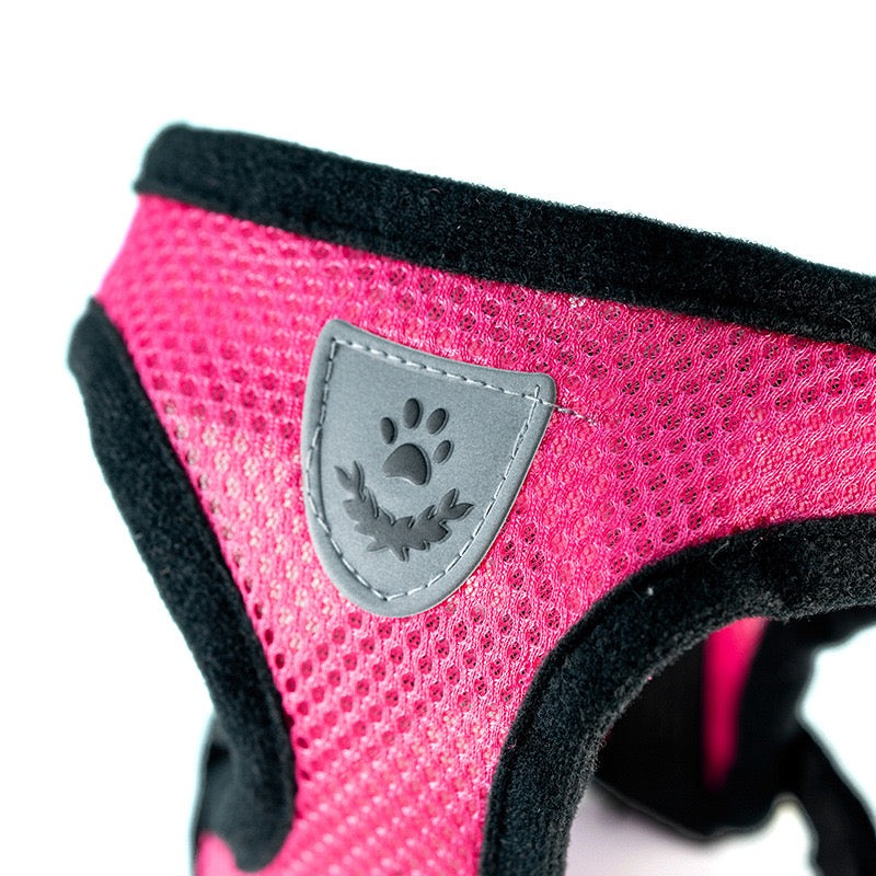 Comfort Fit Small Dog Harness with Leash - Long Hair Friendly