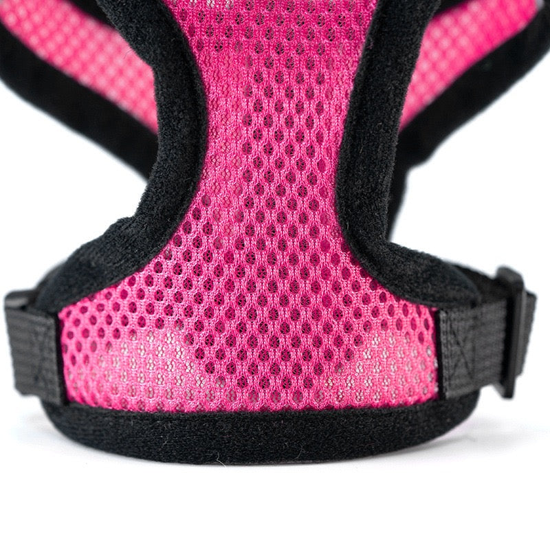 Comfort Fit Small Dog Harness with Leash - Long Hair Friendly