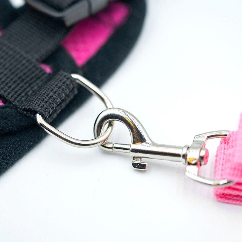 Comfort Fit Small Dog Harness with Leash - Long Hair Friendly