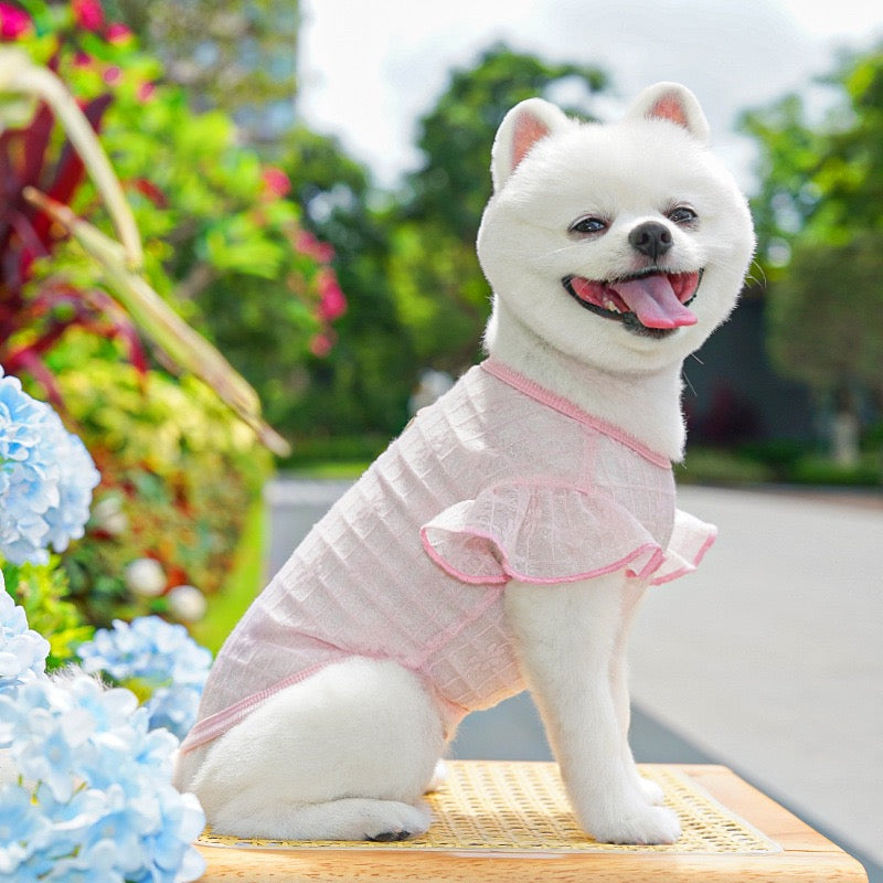 Lightweight Silky Mesh Dog Vest with Flying Sleeves & Harness Hole - for Bichon & Teddy Dogs