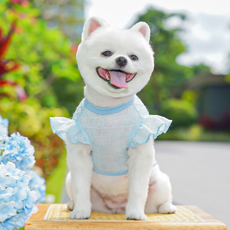 Lightweight Silky Mesh Dog Vest with Flying Sleeves & Harness Hole - for Bichon & Teddy Dogs