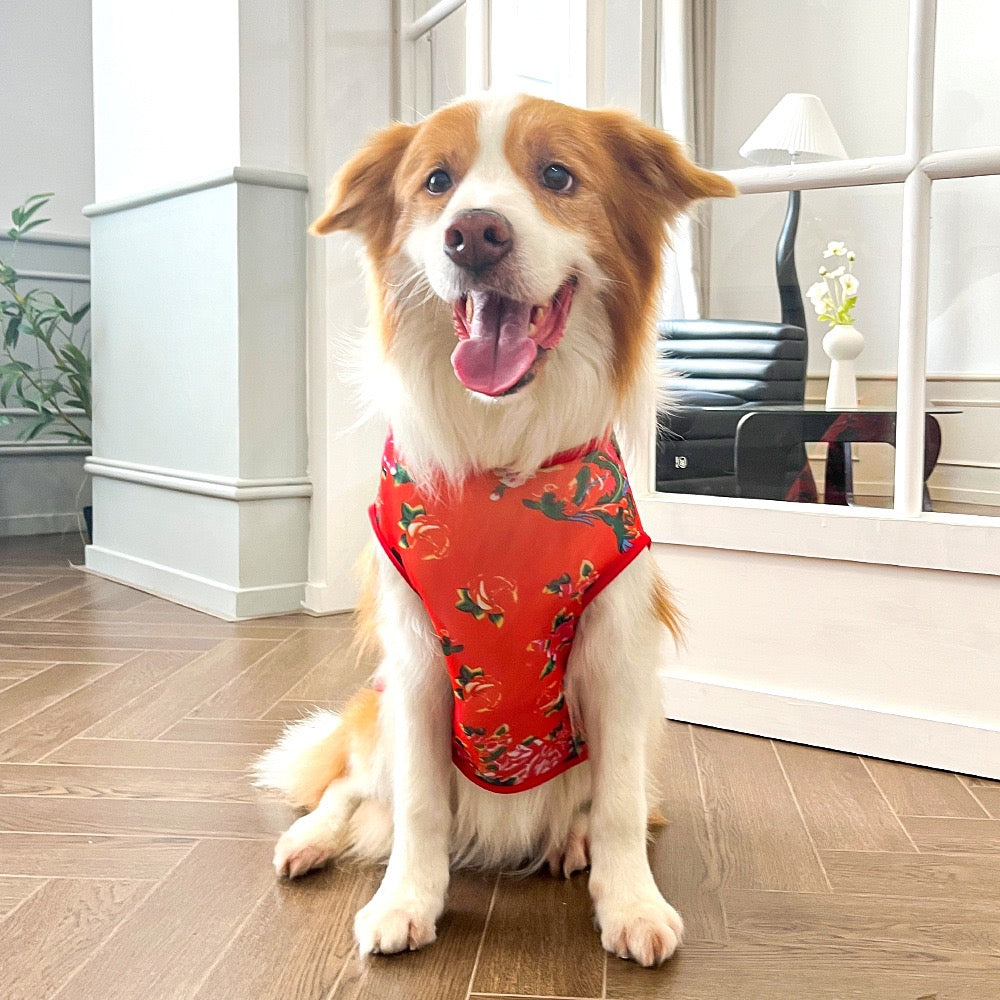 Cooling Ice Silk Dog Vest for Medium & Large Dogs - Multiple Sizes, Summer Chill Wear
