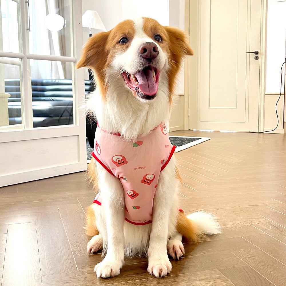 Cooling Ice Silk Dog Vest for Medium & Large Dogs - Multiple Sizes, Summer Chill Wear