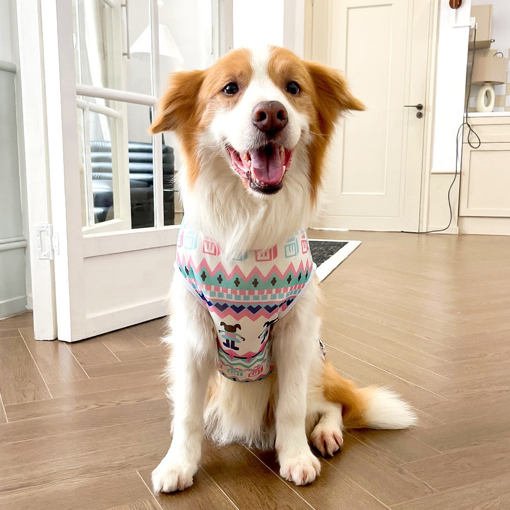 Cooling Ice Silk Dog Vest for Medium & Large Dogs - Multiple Sizes, Summer Chill Wear