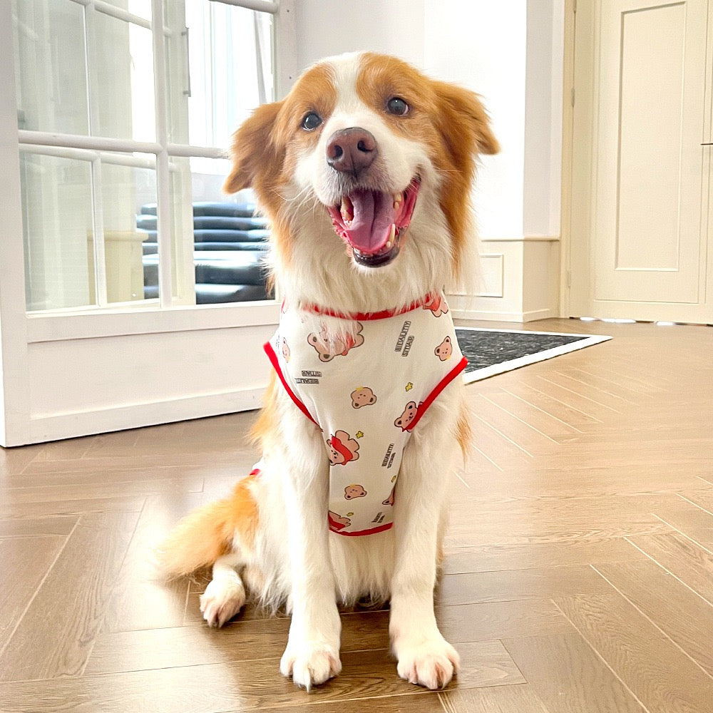 Cooling Ice Silk Dog Vest for Medium & Large Dogs - Multiple Sizes, Summer Chill Wear