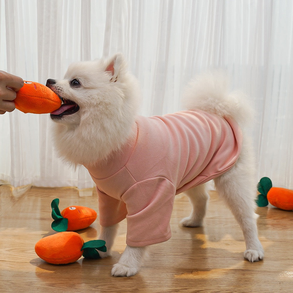 Adorable Squeaky Toy for Puppy Carrot Bone