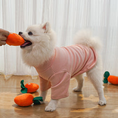 Adorable Squeaky Toy for Puppy Carrot Bone