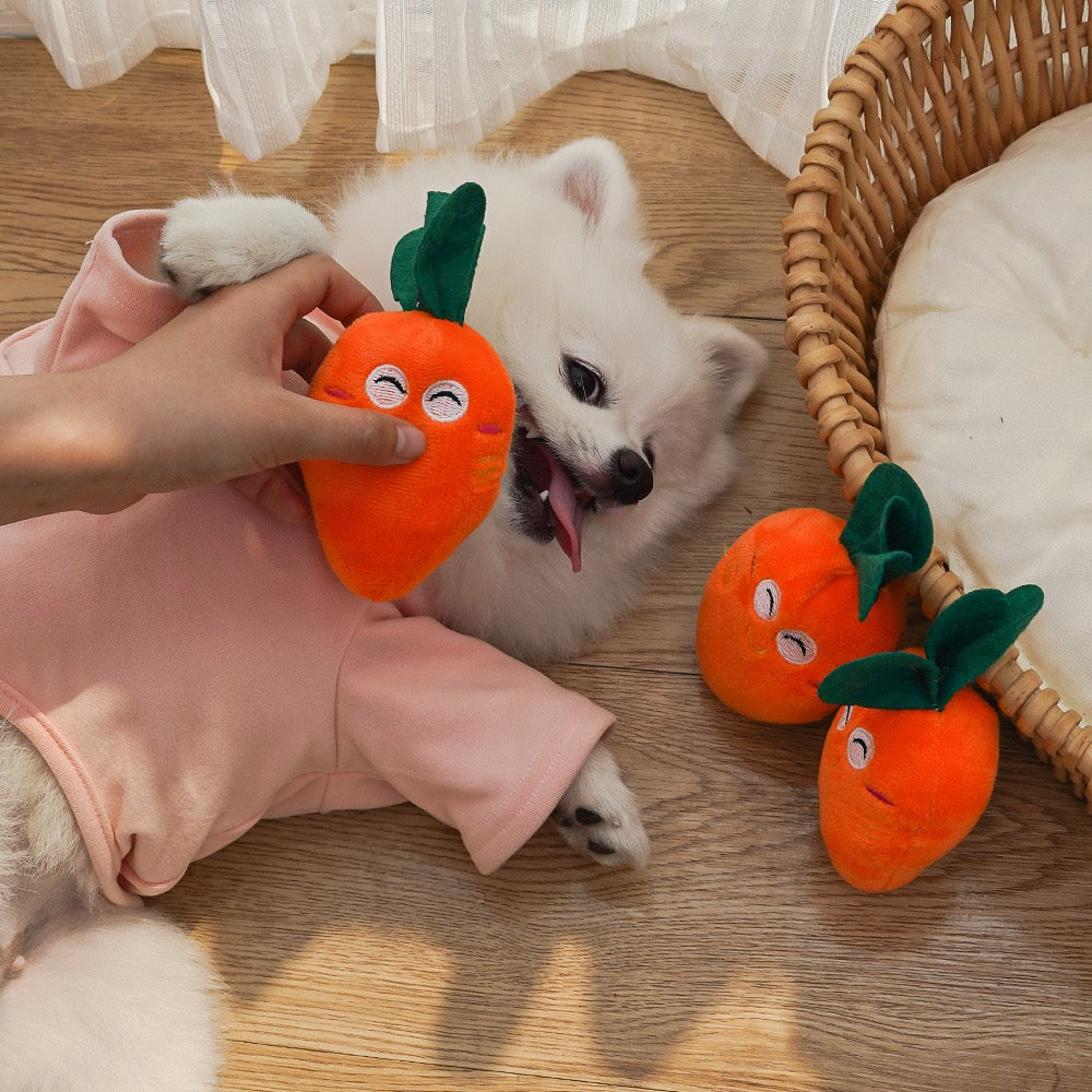 Adorable Squeaky Toy for Puppy Carrot Bone