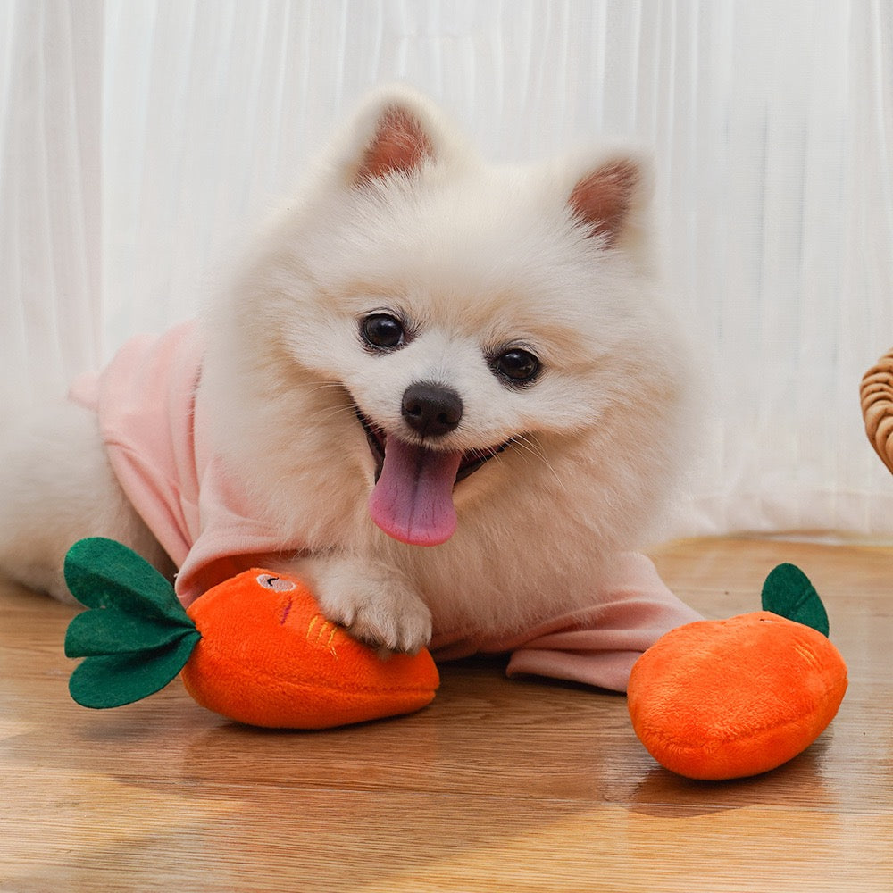 Adorable Squeaky Toy for Puppy Carrot Bone