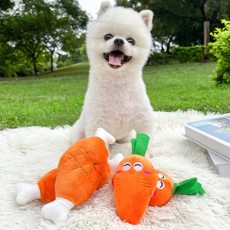Adorable Squeaky Toy for Puppy Carrot Bone