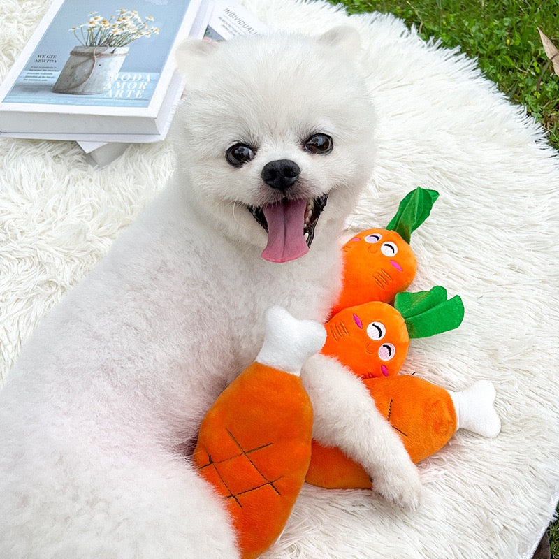 Adorable Squeaky Toy for Puppy Carrot Bone