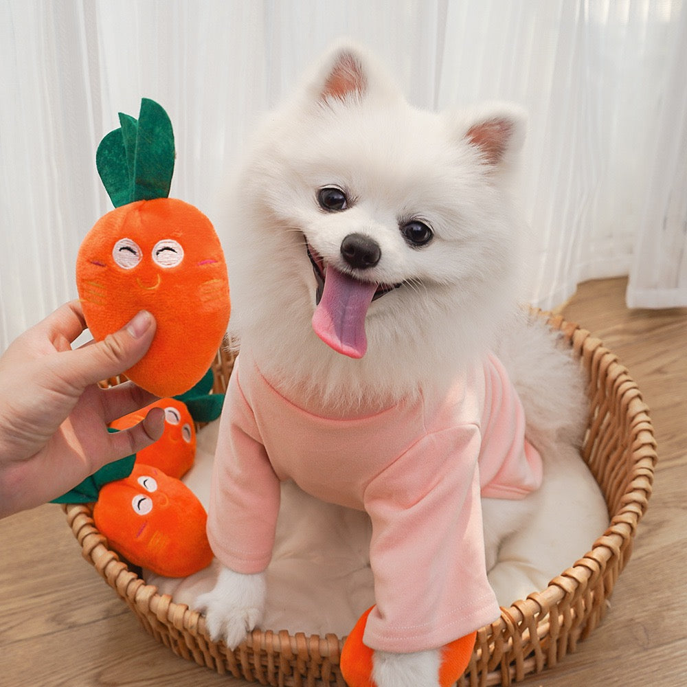 Adorable Squeaky Toy for Puppy Carrot Bone