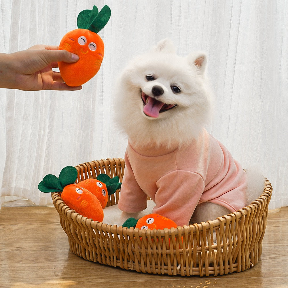 Adorable Squeaky Toy for Puppy Carrot Bone