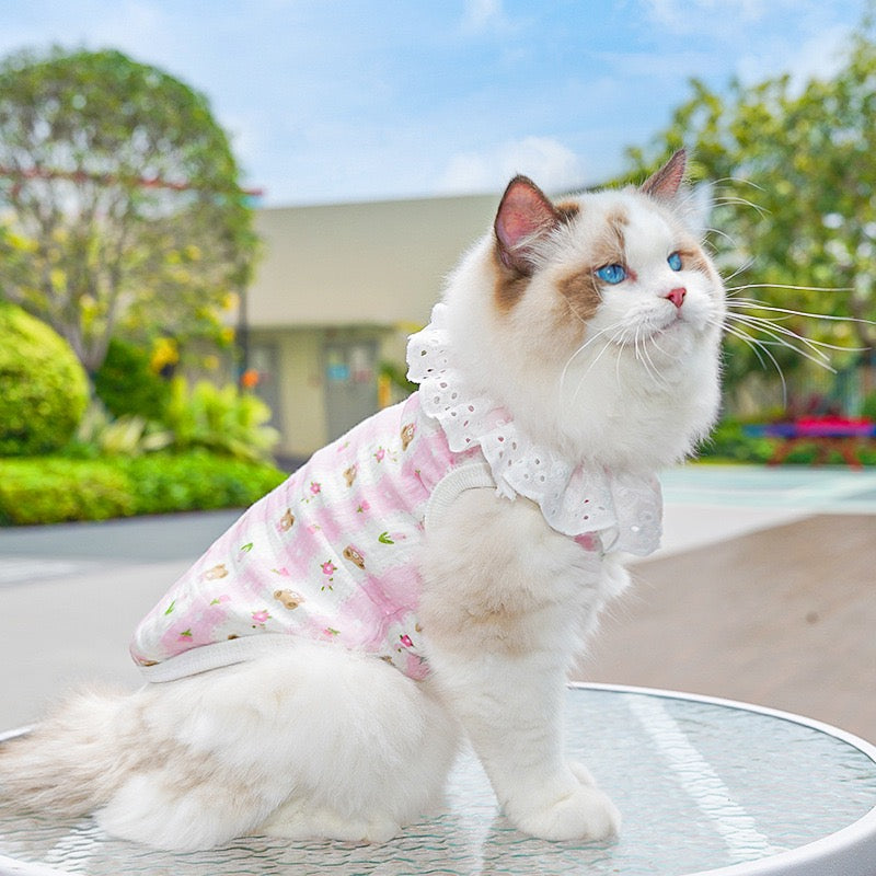 Meowtain Breeze! Cotton-Viscose Cat Cooling Suit with Leash Loops - Ultra-Breathable Anti-Shedding Summer Clothes for Indoor Cats, Air Conditioning Comfort Wear with Soft Fur Guard Technology"