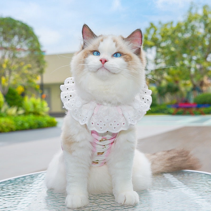 Meowtain Breeze! Cotton-Viscose Cat Cooling Suit with Leash Loops - Ultra-Breathable Anti-Shedding Summer Clothes for Indoor Cats, Air Conditioning Comfort Wear with Soft Fur Guard Technology"