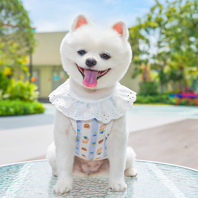 Meowtain Breeze! Cotton-Viscose Cat Cooling Suit with Leash Loops - Ultra-Breathable Anti-Shedding Summer Clothes for Indoor Cats, Air Conditioning Comfort Wear with Soft Fur Guard Technology"