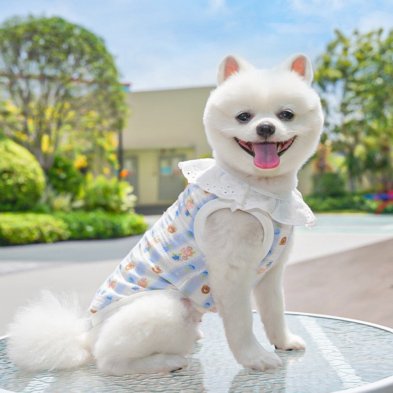 Meowtain Breeze! Cotton-Viscose Cat Cooling Suit with Leash Loops - Ultra-Breathable Anti-Shedding Summer Clothes for Indoor Cats, Air Conditioning Comfort Wear with Soft Fur Guard Technology"