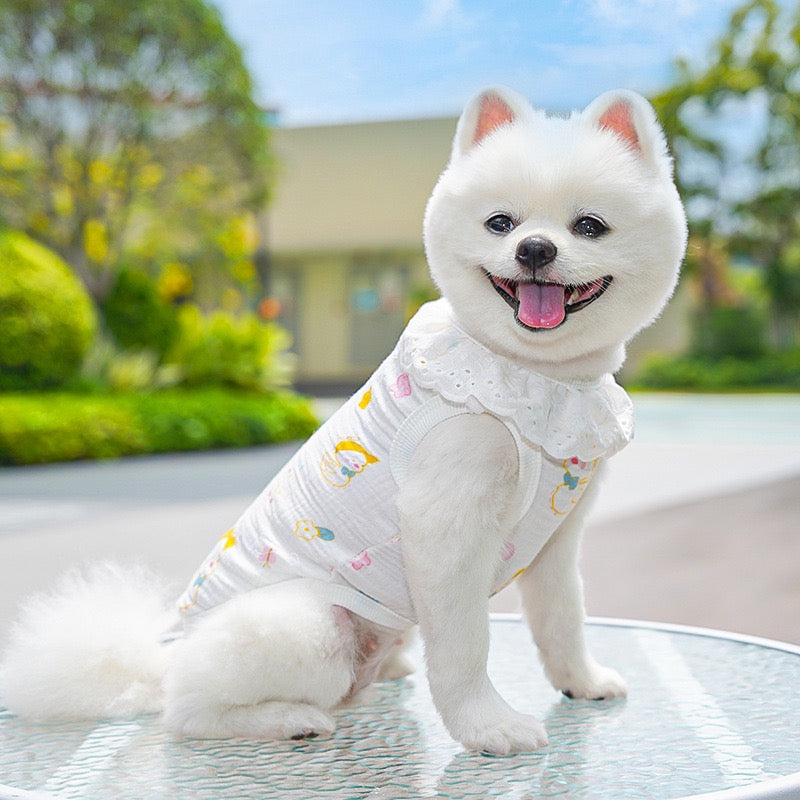 Meowtain Breeze! Cotton-Viscose Cat Cooling Suit with Leash Loops - Ultra-Breathable Anti-Shedding Summer Clothes for Indoor Cats, Air Conditioning Comfort Wear with Soft Fur Guard Technology"