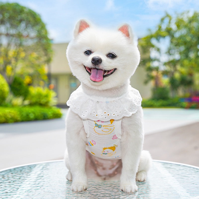 Meowtain Breeze! Cotton-Viscose Cat Cooling Suit with Leash Loops - Ultra-Breathable Anti-Shedding Summer Clothes for Indoor Cats, Air Conditioning Comfort Wear with Soft Fur Guard Technology"