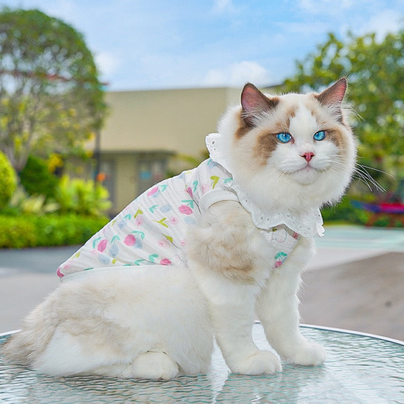 Meowtain Breeze! Cotton-Viscose Cat Cooling Suit with Leash Loops - Ultra-Breathable Anti-Shedding Summer Clothes for Indoor Cats, Air Conditioning Comfort Wear with Soft Fur Guard Technology"