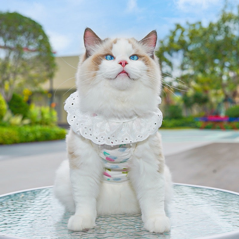 Meowtain Breeze! Cotton-Viscose Cat Cooling Suit with Leash Loops - Ultra-Breathable Anti-Shedding Summer Clothes for Indoor Cats, Air Conditioning Comfort Wear with Soft Fur Guard Technology"