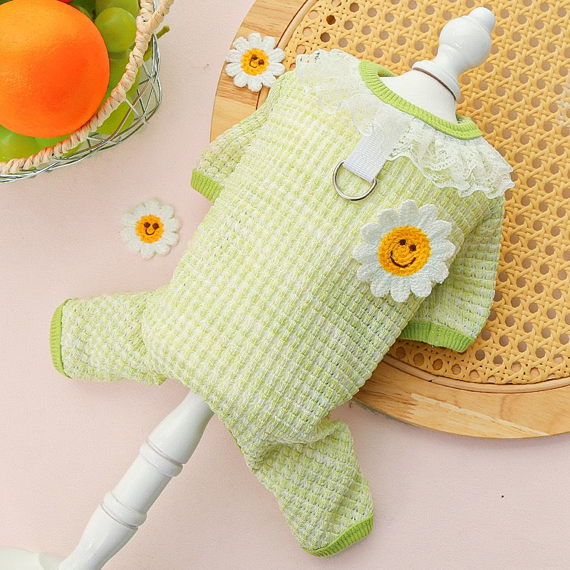 Cute Stretchy & Breathable Pet Bodysuit for Cats & Dogs - Spring-Summer Outfit for Bichon, Teddy & Munchkin Cats