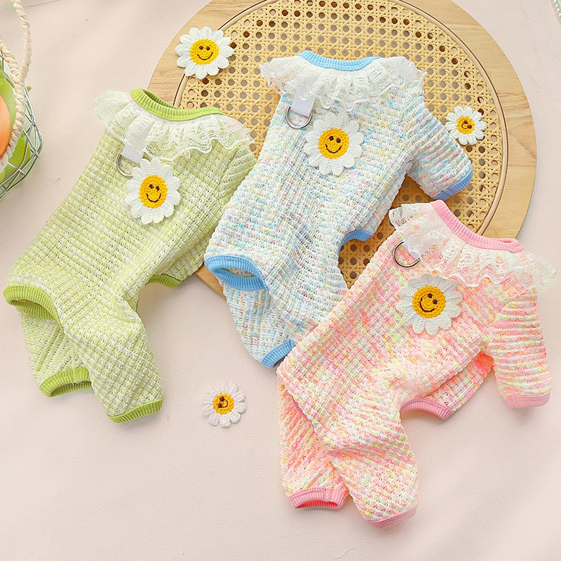 Cute Stretchy & Breathable Pet Bodysuit for Cats & Dogs - Spring-Summer Outfit for Bichon, Teddy & Munchkin Cats