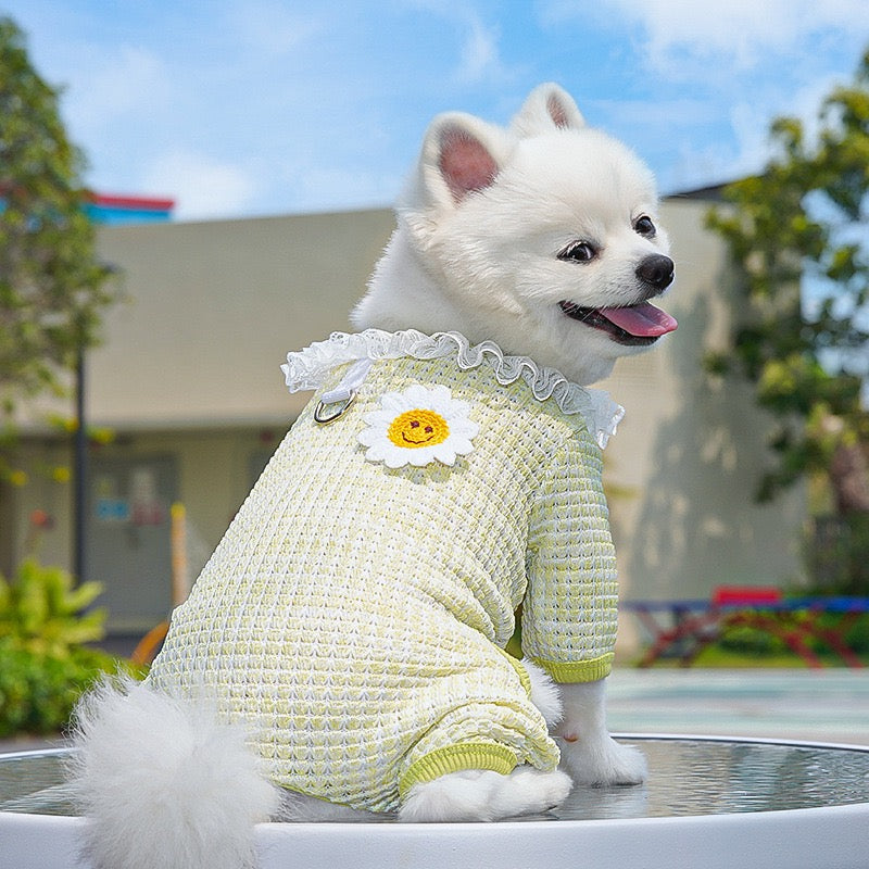 Cute Stretchy & Breathable Pet Bodysuit for Cats & Dogs - Spring-Summer Outfit for Bichon, Teddy & Munchkin Cats