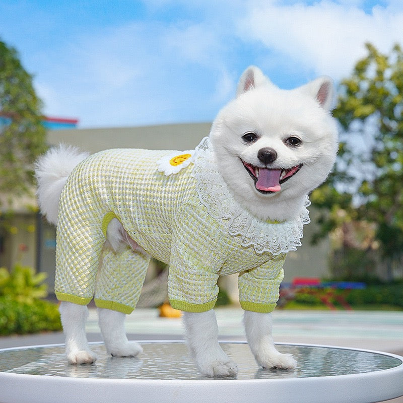 Cute Stretchy & Breathable Pet Bodysuit for Cats & Dogs - Spring-Summer Outfit for Bichon, Teddy & Munchkin Cats