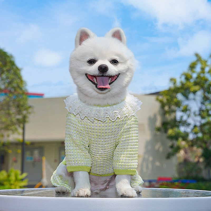 Cute Stretchy & Breathable Pet Bodysuit for Cats & Dogs - Spring-Summer Outfit for Bichon, Teddy & Munchkin Cats