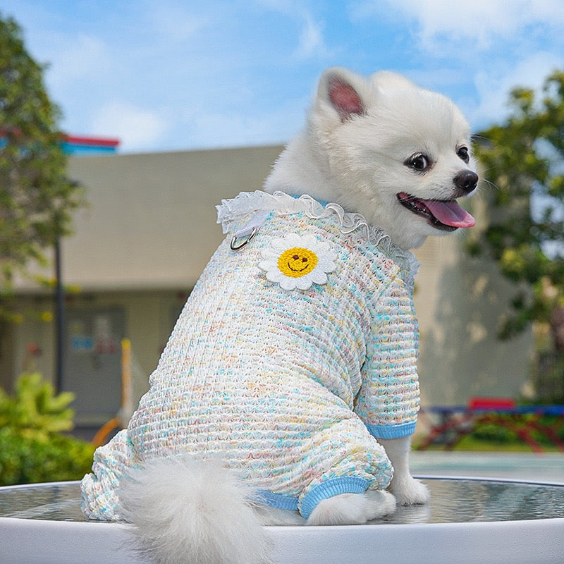 Cute Stretchy & Breathable Pet Bodysuit for Cats & Dogs - Spring-Summer Outfit for Bichon, Teddy & Munchkin Cats